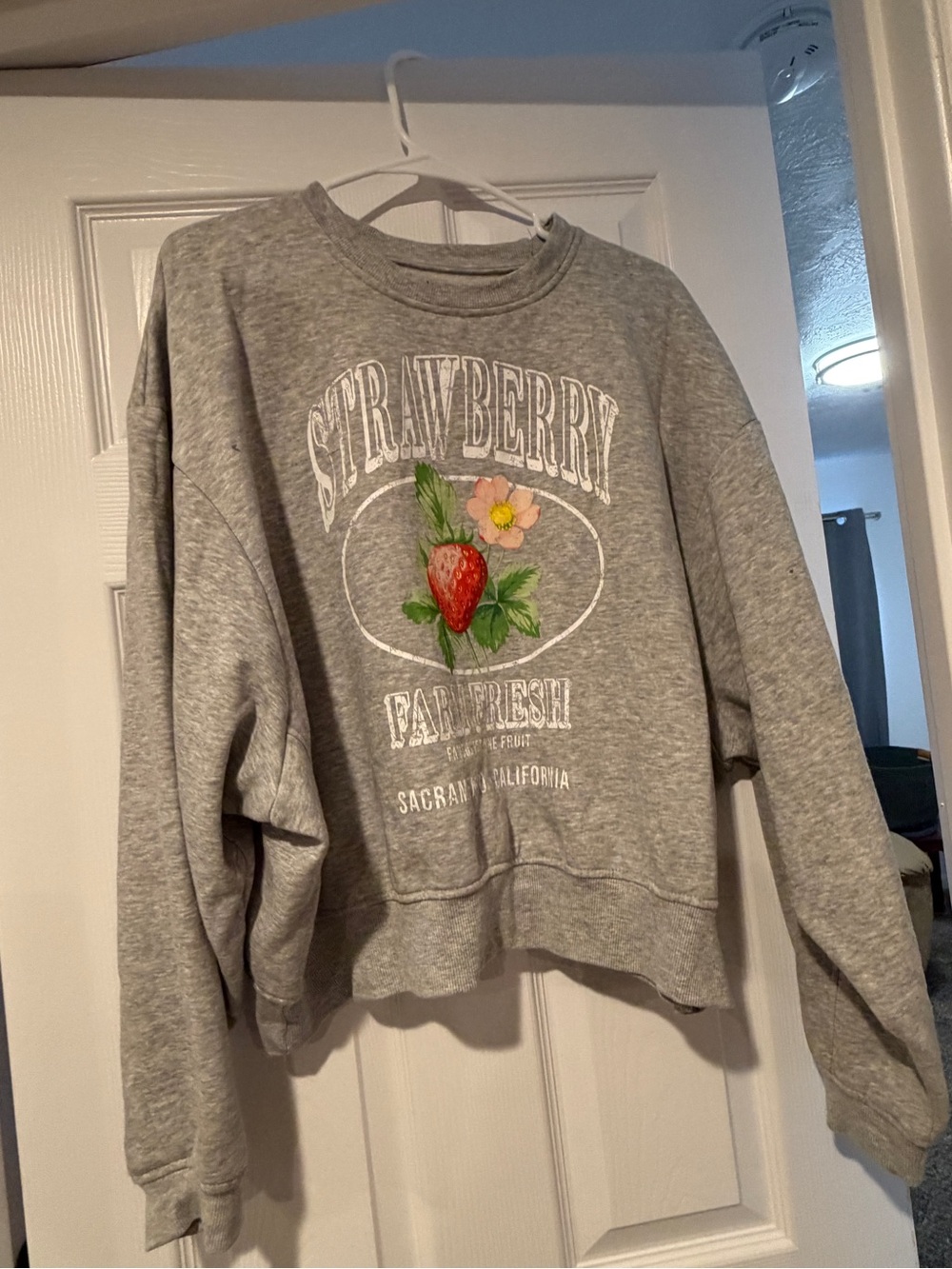 No Boundaries Grey Strawberry Graphic Sweatshirt